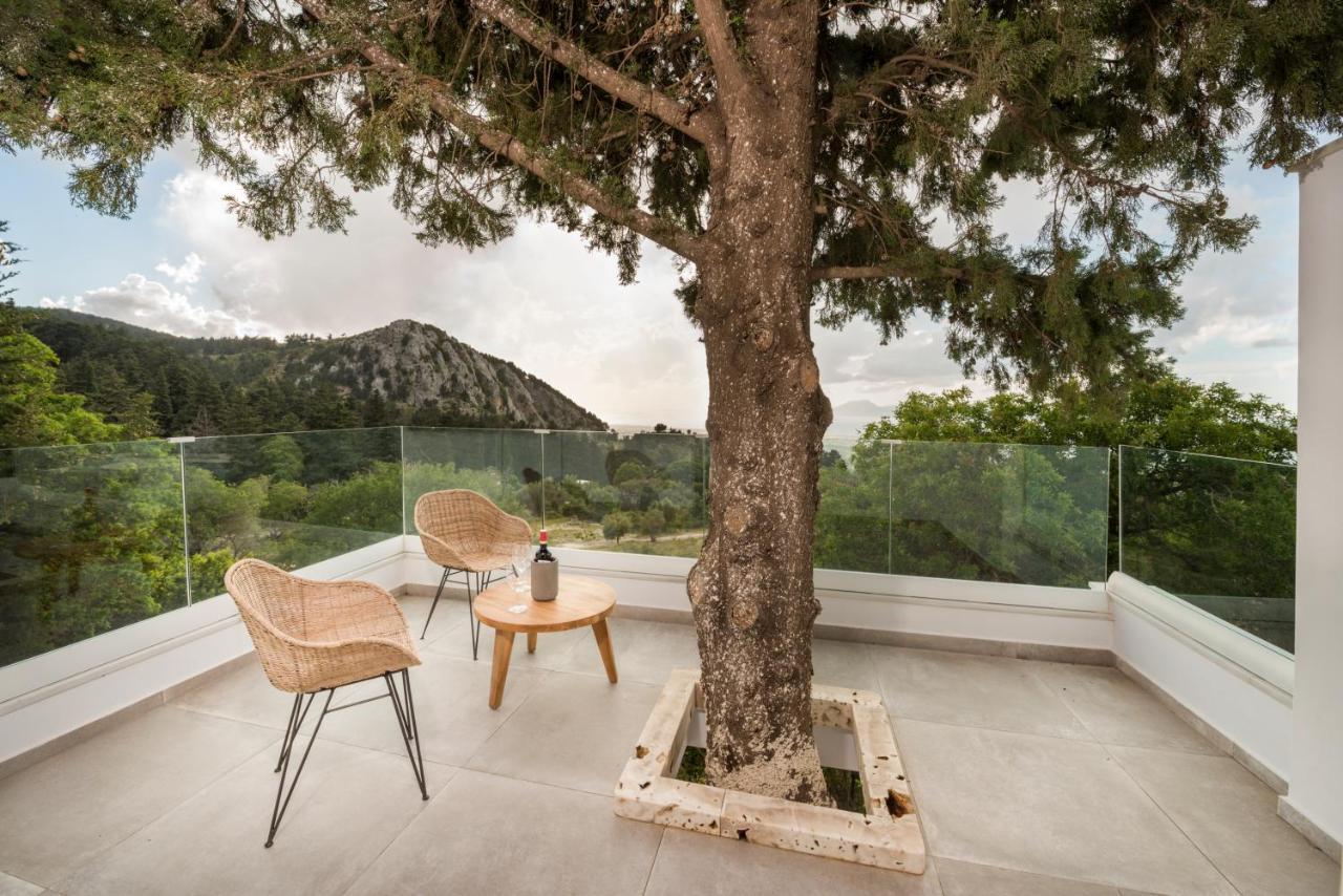 Forest View Villas 1 Lagoudi Zia Esterno foto