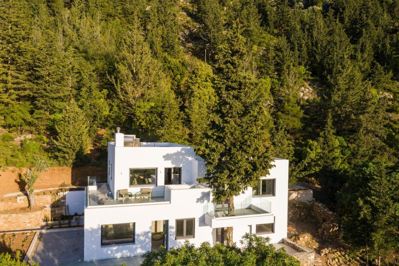 Forest View Villas 1 Lagoudi Zia Esterno foto